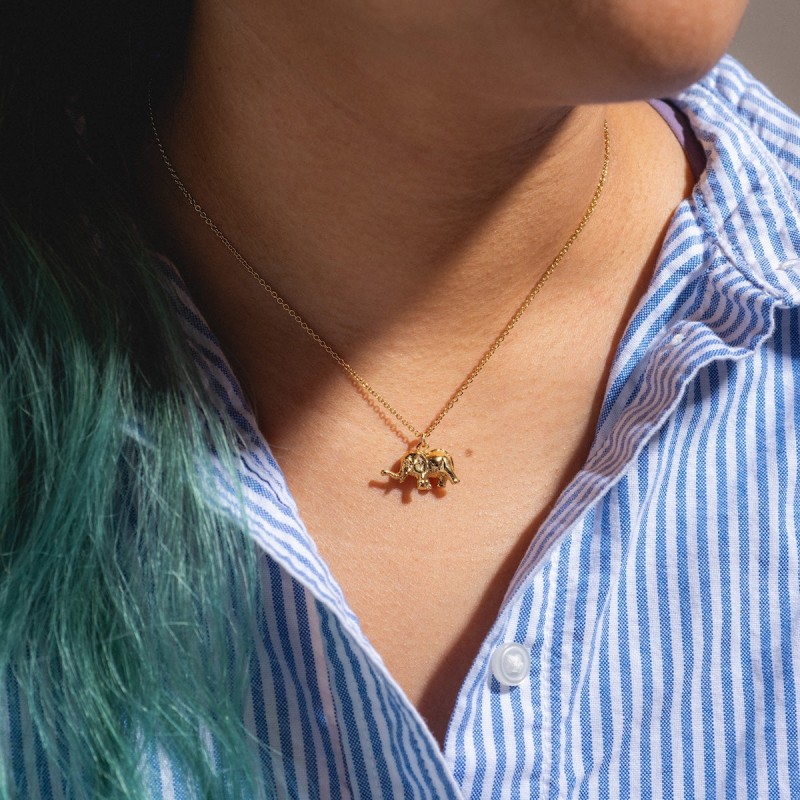 The Wise Necklace