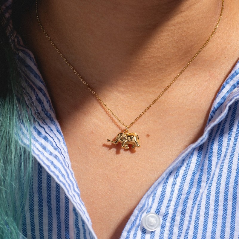 The Wise Necklace